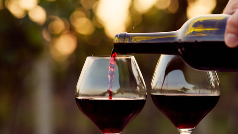 New World vs Old World Wine: What the Label Isn't Telling You